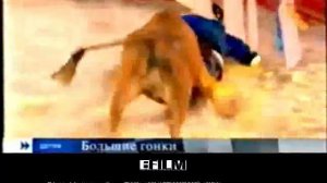 Анонс в титрах (Первый канал, 04.11.2006, Фэйк)