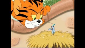 Tom and Jerry - Tiger Cat