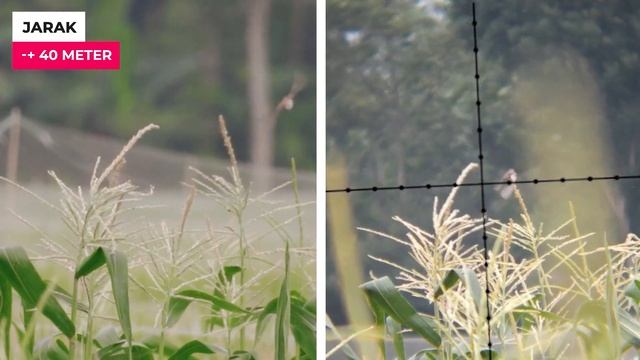 [PALING ISTIMEWA!!!] SR 38 SUPER TACTICAL, Mampu Bersaing Di Level Unit Premium, Bungkus Segera !!! смотреть онлайн