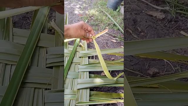 Anyam tikar daun di sawah смотреть онлайн