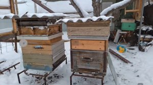 мини пасека