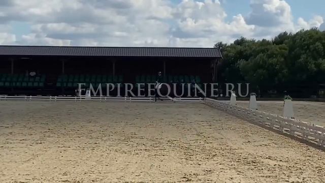 1116 смотреть онлайн