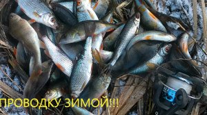 Ловля рыбы зимой в проводку!!!