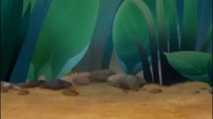 какашка все любят