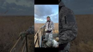 Охота на фазана и зайца.