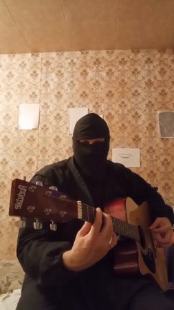 Крайне Северный Ниндзя: Бегемот (06.02.2025) Very Nordic Ninja: Hippopotamus #Ninja Guitarist #Art