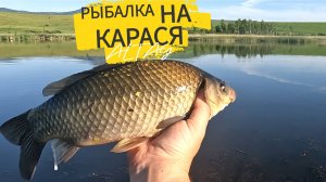 ПАРА КАРАСЕЙ ЗА 20 МИНУТ. ЛОВЛЯ КРУПНОГО КАРАСЯ НА ПОПЛАВОЧНУЮ УДОЧКУ. #карась #рыбалканакарася