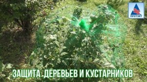 Сетка от птиц ЯГОДКА