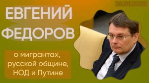 Евгений Федоров о мигрантах, русской общине, НОД и Путине