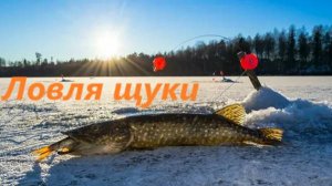 КАК ЛОВИТЬ ЩУКУ на ПОСЛЕДНЕМ ЛЬДУ? ЛОВЛЯ ЩУКИ в НАЧАЛЕ ВЕСНЫ. СНАСТИ, МЕСТА и НАЖИВКИ для ЛОВЛЯ ЩУКИ