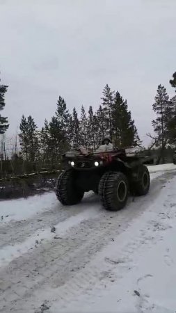 Не только наши клиенты довольны вездеходами ЗЭТ, но и собаки рады такому средству передвижения)