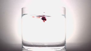 НОЧЬ В ЛАДОНИ ТВОЕЙ