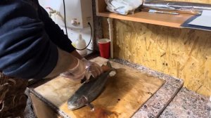 Проверяем форель с нового привоза на цвет мяса и бонусы