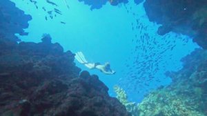 DIVEDAY3