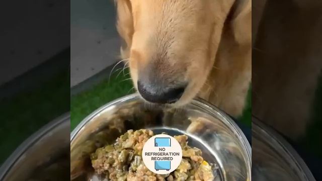 Benny's Bowl Fresh & Health Dog Food | Cut-Pour-Serve смотреть онлайн