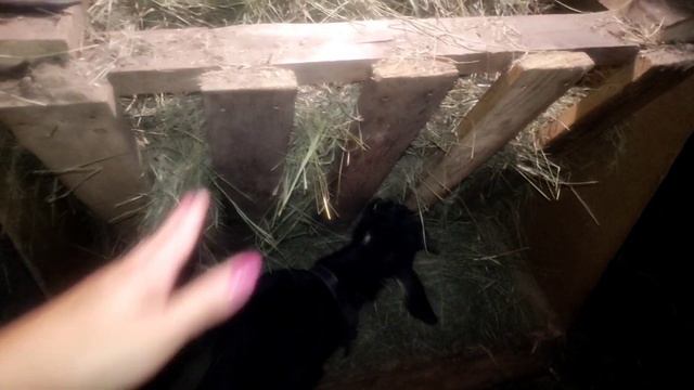 В ДЕРЕВНЕ ОЧЕНЬ МНОГО ДЕЛ, ЖИЗНЬ В ДЕРЕВНЕ смотреть онлайн