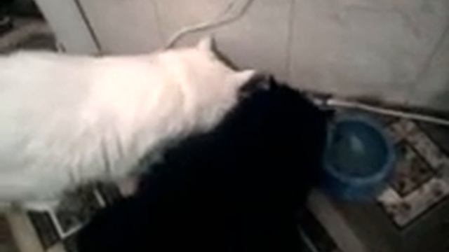 КТО БЫСТРЕЕ смотреть онлайн