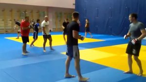 Федор Емельяненко тренировка / Fedor Emelianenko training