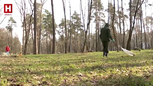 НЕДЕЛЯ | 13 апреля 2024 смотреть онлайн