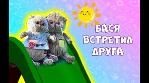 БАСИК ВСТРЕТИЛ ДРУГА - БАСИК ГУЛЯЕТ С ДРУГОМ НА ДЕТСКОЙ ПЛОЩАДКЕ #волшебные будни