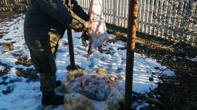 Нож "Кабанчик" кузнеца "Медведь" смотреть онлайн