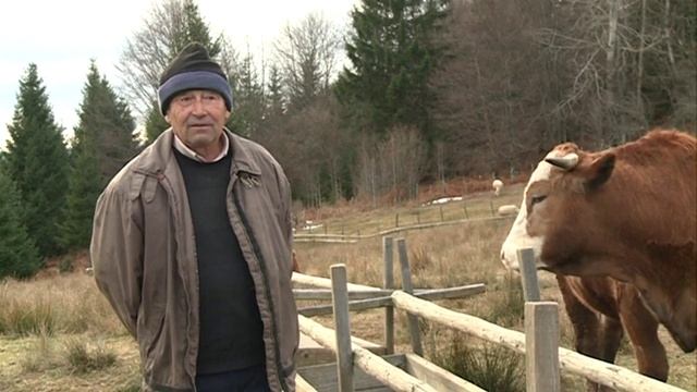 ZAPIS O SELU MALO POLJE смотреть онлайн