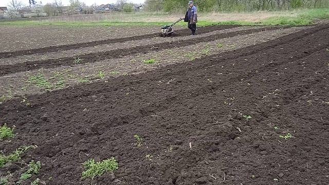 19 апреля 2022 г. смотреть онлайн