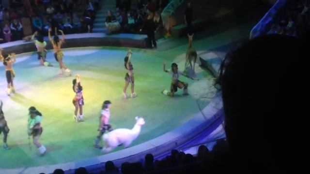 Я лама лама лама смотреть онлайн