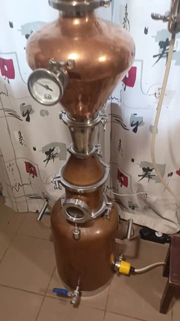 Белая собака по мотивам Марвина Саттона.. #винокурняфомаменделеев