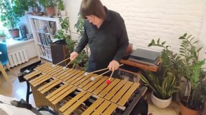 "Белочка". Фантазия на русские темы для вибрафона соло 5 палочками.