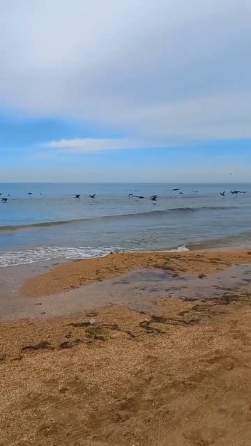 Анапа Сегодня / Витязево смотреть онлайн