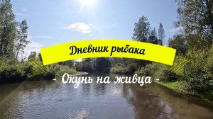 Окунь на живца.
