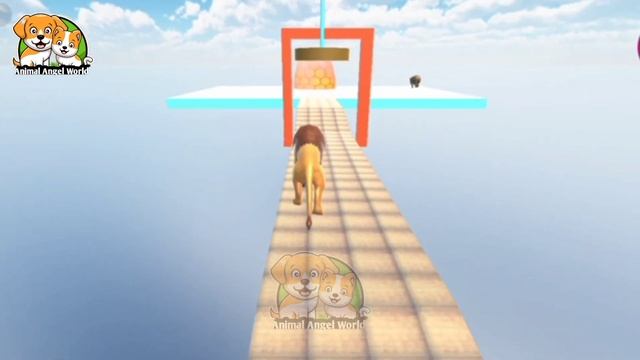 Choose Right Slider Cage Mystery Key Challenge with Cow Mammoth Tiger Wild Animals Crossing Game смотреть онлайн