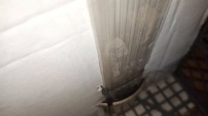 Чудесный Вольер для голубя своими руками из подручных материалов буквально за минуты