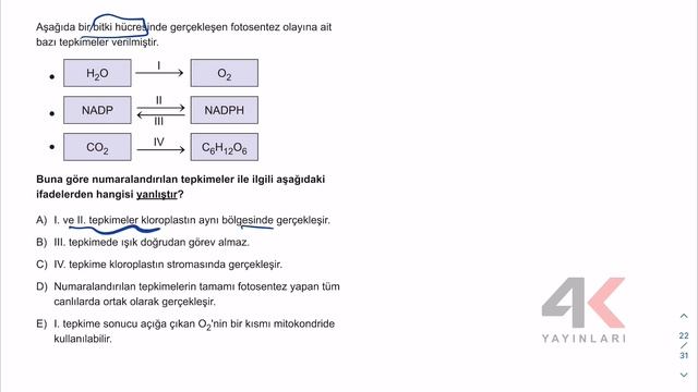 AYT Sayısal Kamp Fasikül 7 Biyoloji Soru Çözümleri