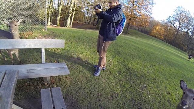 HTMIID. Парк оленей смотреть онлайн