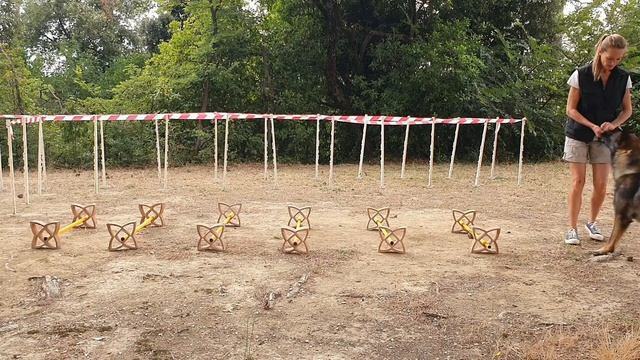 FitDog. кавалетти. рысь. 2. смотреть онлайн