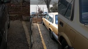 ПЕТУХ УБИЛ ПЕТУХА