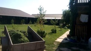 Рыбалка в Харабалях. Астраханская обл. Посёлок Дедушкин. База Дом Рыбака.