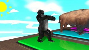 Животные проходят испытания - детский контент - воркер