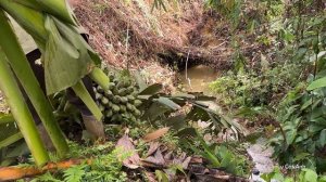 FULL VIDEO: 17-year-old single mother in an accident and was helped by kind police, Ly Cat Anh