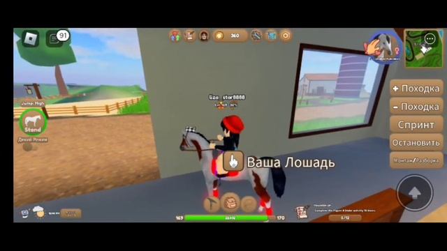 острова дикой лошади 🐴🐴