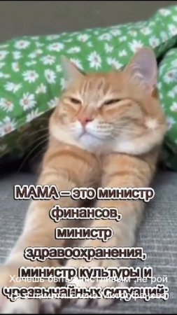 Хочешь быть счастливым-не ройся в памяти.Елена Митрофанова