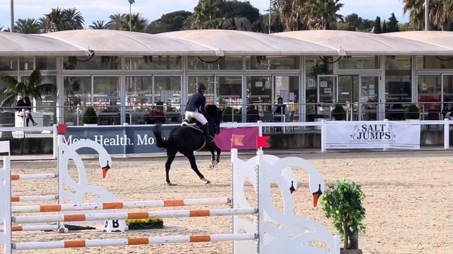 Rhodos van de kiekenboer 5yr old Grand Prix Valencia 13/03/22 смотреть онлайн