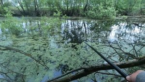 Рыбалка на заброшенном деревенском пруду