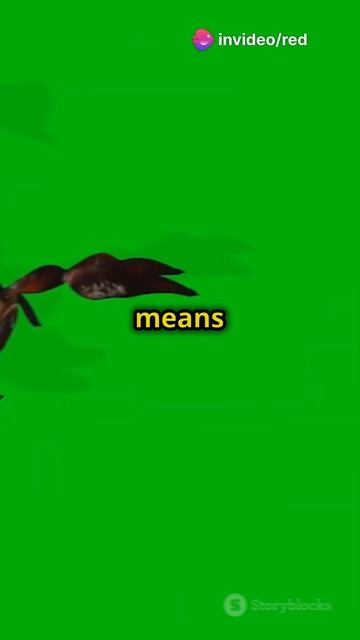 Sting in the Tale 3 Shocking Scorpion ! смотреть онлайн