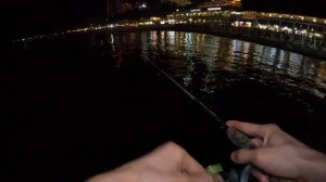 Рыбалка не без сюрприза в центре Сочи на ультралайт. Поиски горбыля. Скорпены.