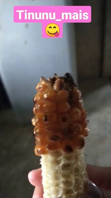 tinunu nga Mai's😋😊 смотреть онлайн