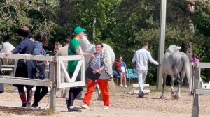 Презентация орловской рысистой и карачаевской пород лошадей. Иппосфера 2023