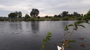 26 липня 2019 р.